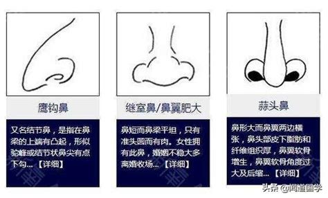 鼻子面相学|面相入门